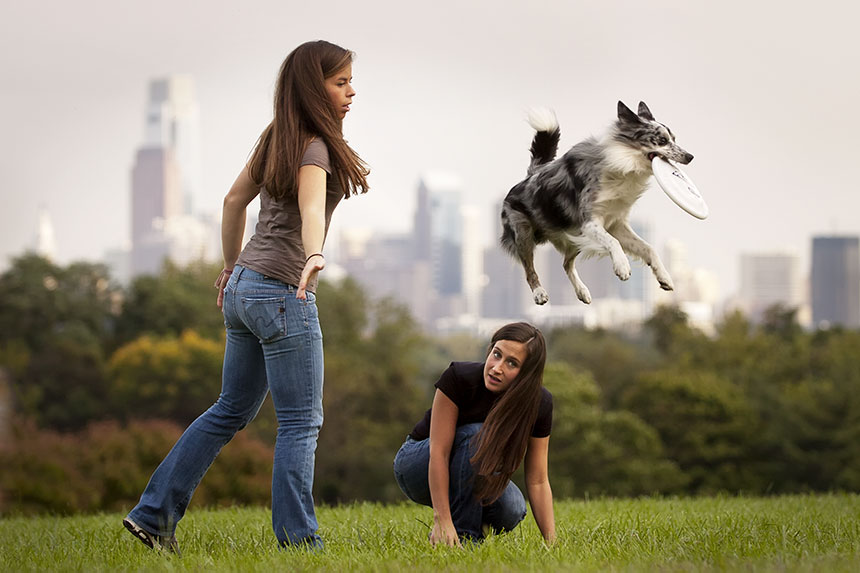 Web Design Portfolio - Philly Dog Training Web Design