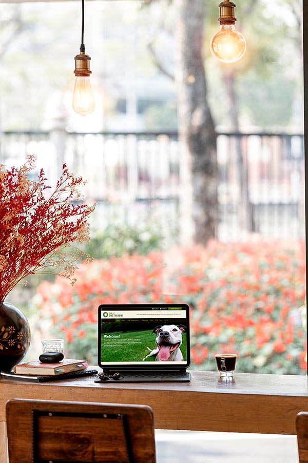 Media, PA Web Design Services