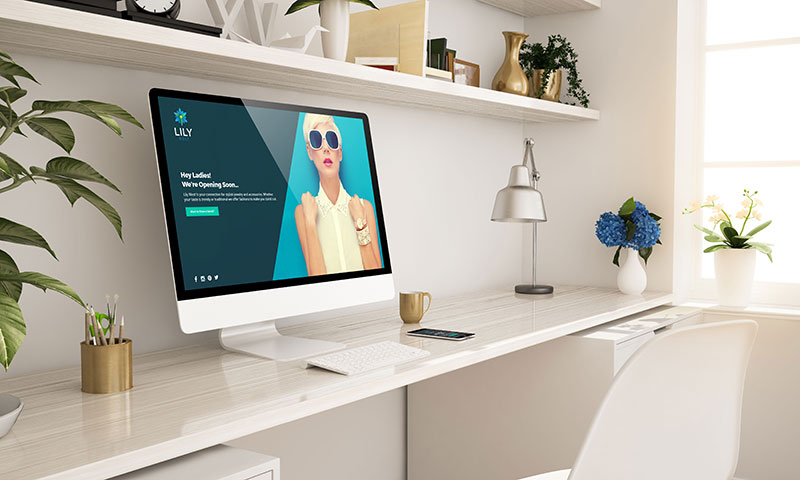 Web Design for Media, PA businesses